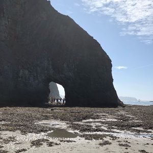 Meet your Posher, Shalin